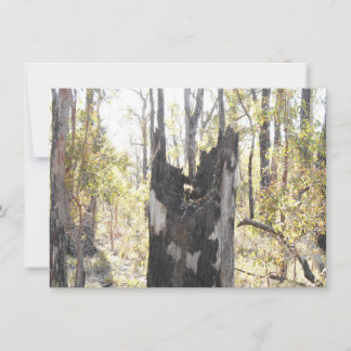 Illuminated Three Card