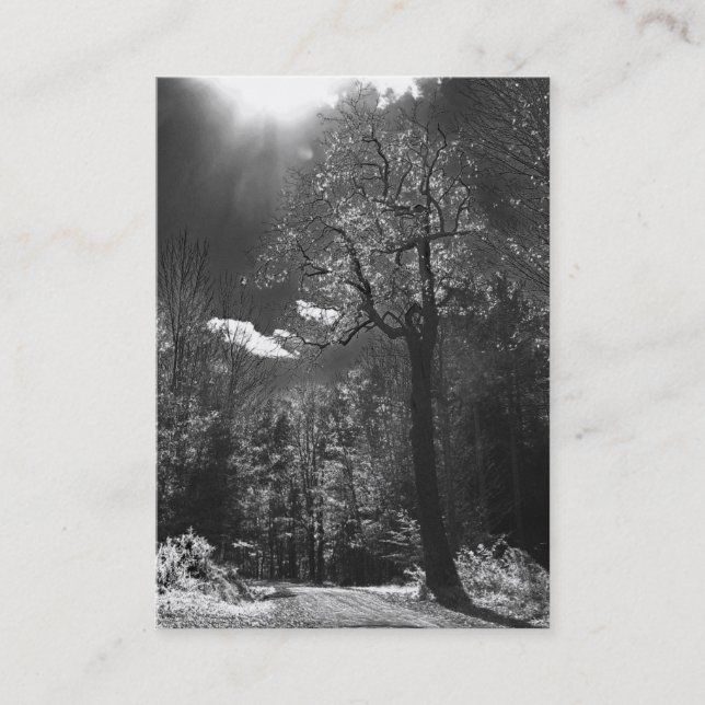 Illuminated Tree ATC Business Card (Front)