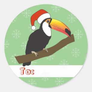 illusima Toucan Christmas Snowflakes Light Green Classic Round Sticker