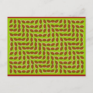 illusion-5 postcard