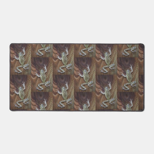 Illusion de la grenouille