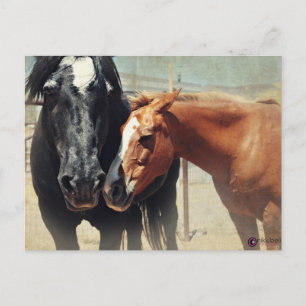 Illusion & Rush Postcard