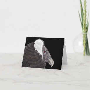Illustrated Andean Condor Thank You Card