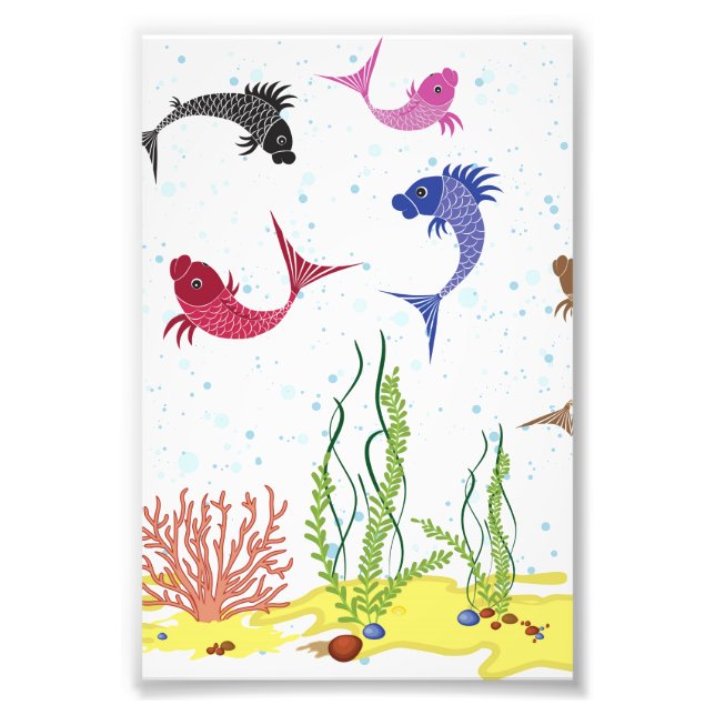 Illustrated Beta Fish Photo Print (Front)