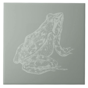 Illustrated Frog CUSTOM COLOR Frog Art Tile