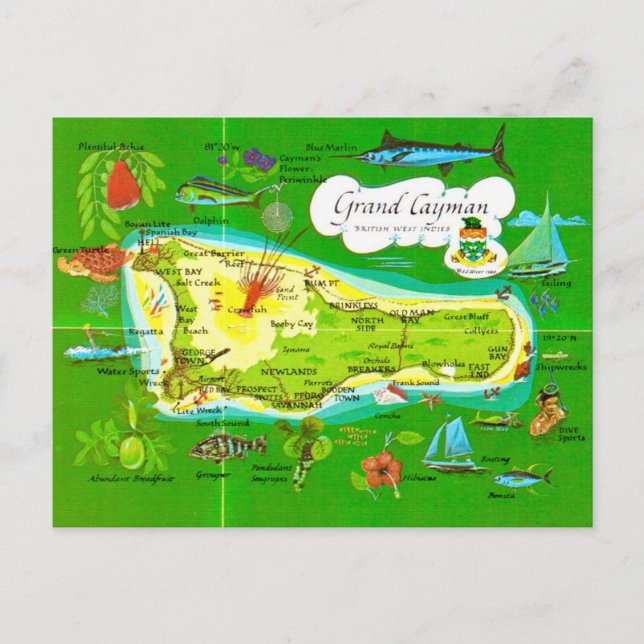 Illustrated Grand Cayman Map Postcard (Front)