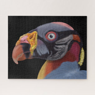 Illustrated King Vulture Jigsaw Puzzle