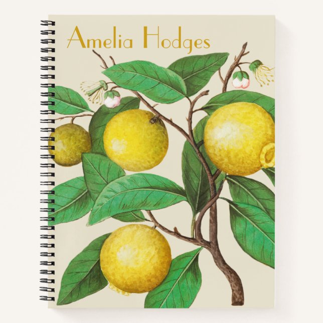 Illustrated Lemon Branch with Name Bullet Journal (Front)