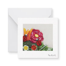 Illustrated  note cards