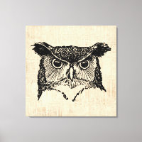 Illustrated Owl Art
