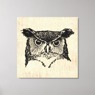 Illustrated Owl Art Canvas Print