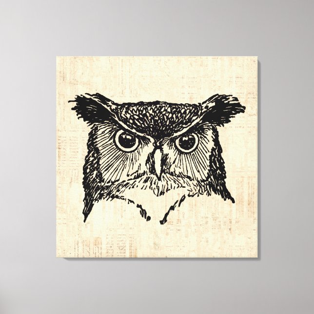 Illustrated Owl Art Canvas Print (Front)