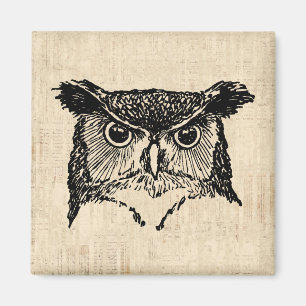 Illustrated Owl Art Magnet
