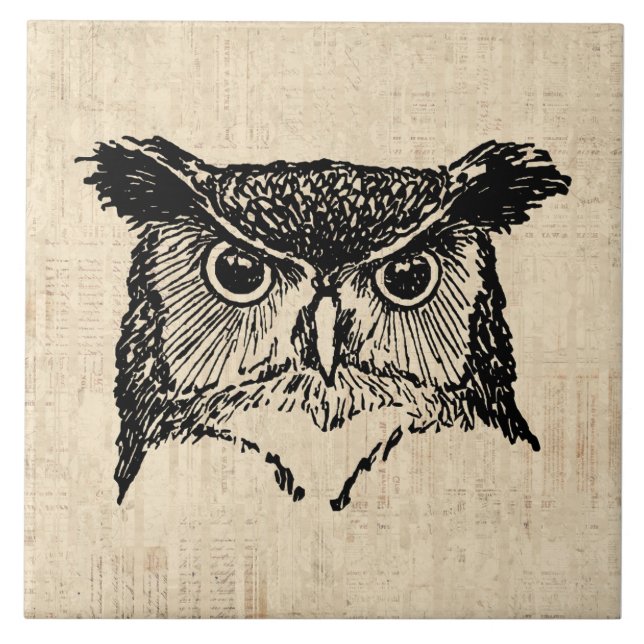 Illustrated Owl Art Tile (Front)