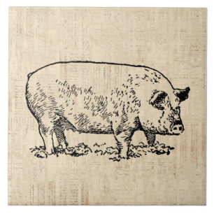 Illustrated Pig with Vintage Script Background Tile