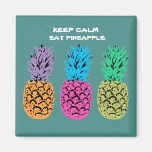 Illustrated Pineapple design Magnet