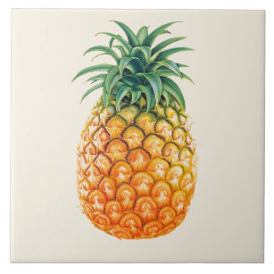 Illustrated Pineapple design Tile