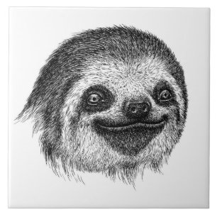 Illustrated Sloth Face Tile