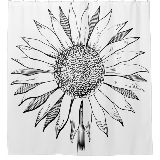 Illustrated Sunflower (Front)