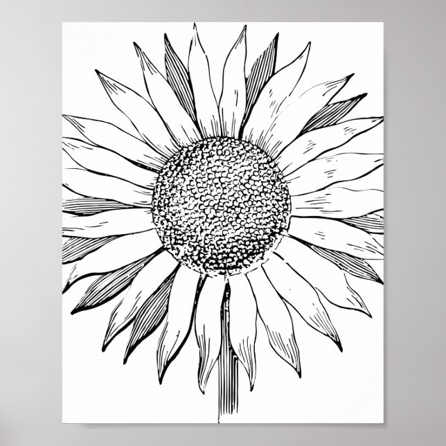 Illustrated Sunflower Poster (Front)