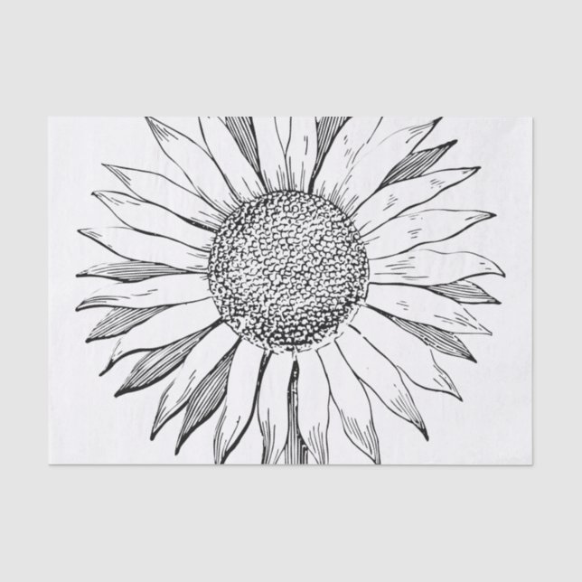 Illustrated Sunflower Tissue Paper (Front)