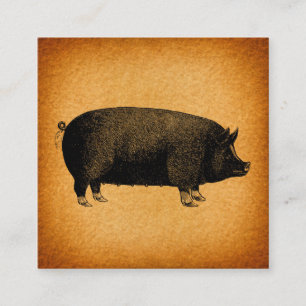 Illustrated Vintage Pig Rustic Art Enclosure Card