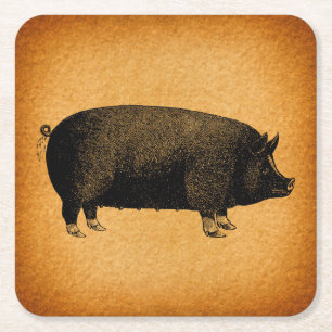 Illustrated Vintage Pig Rustic Art Square Paper Coaster