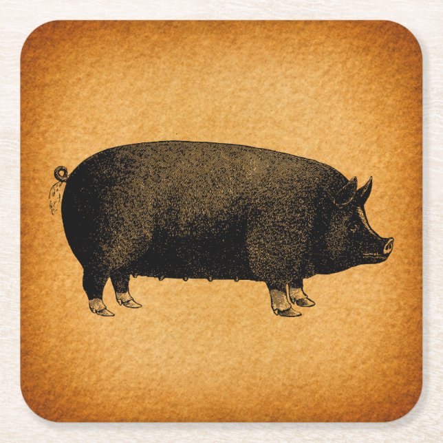 Illustrated Vintage Pig Rustic Art Square Paper Coaster (Front)