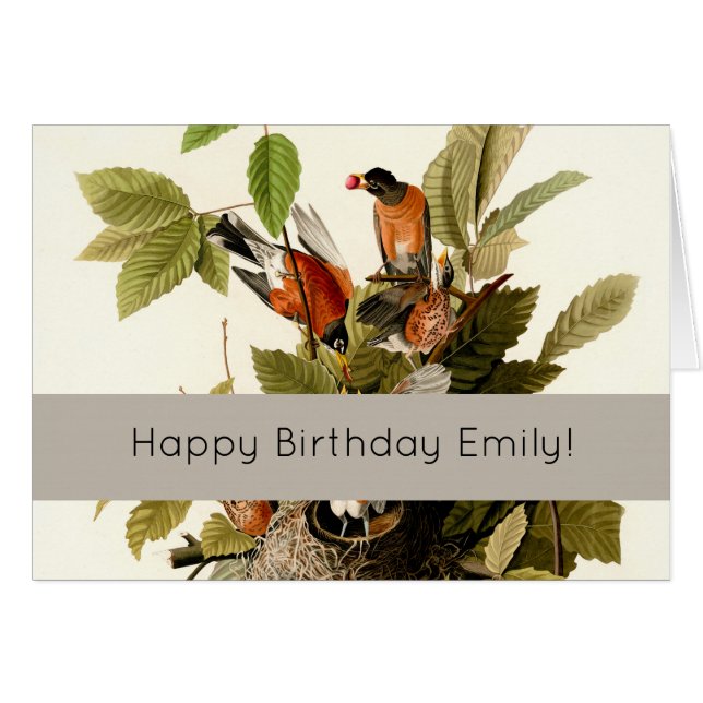 Illustration Audubon American Robin Wildlife Bird (Devant horizontal)