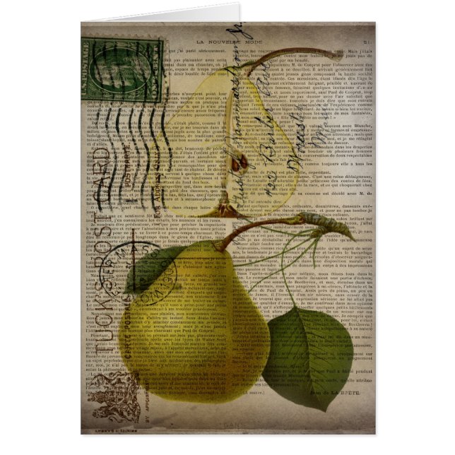 illustration botanique de pays français poire vint (Devant)