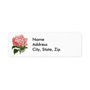 Illustration botanique d'hortensia rose vintage