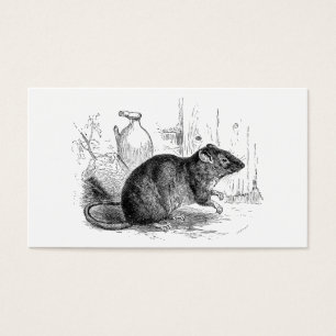Illustration Brown de rats de rat de grange de