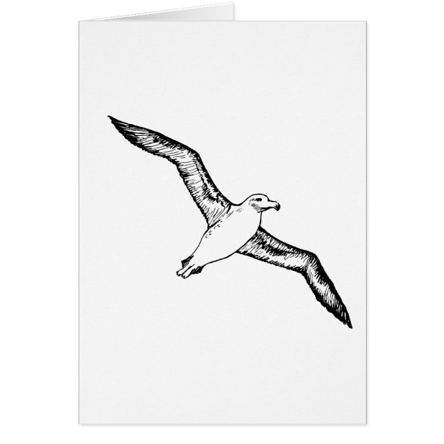 Illustration d'albatros de vol (Devant)