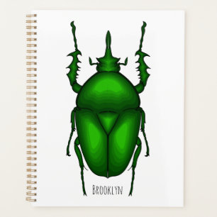 Illustration de bug Mecynorhina torquata
