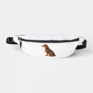 Illustration de chien vue arrière teckel à poils l