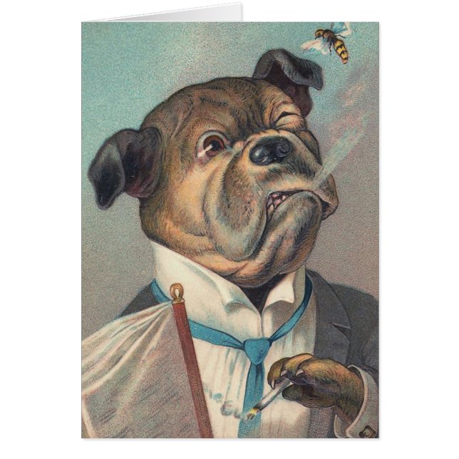 Illustration de cru de chien et de guêpe (Devant)