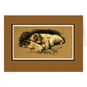 Illustration de deux chiens qui boudent