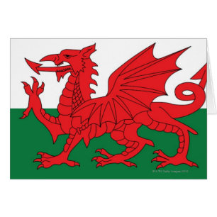 Illustration de drapeau national du Pays de