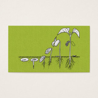 Illustration de germination plante