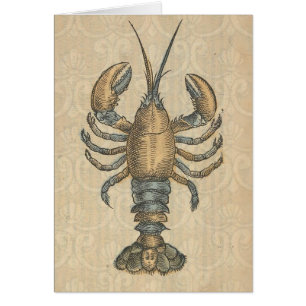 Illustration de homard, fruits de mer du Maine