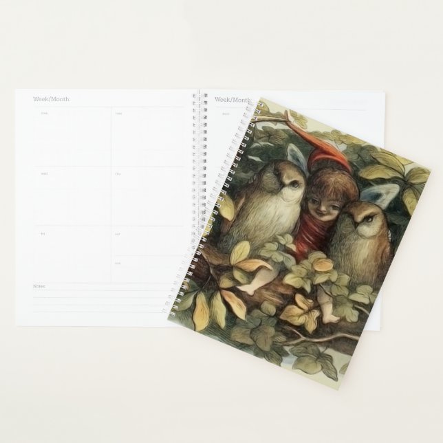 Illustration de la nature des hiboux et des fées d (Devant avec enveloppe)