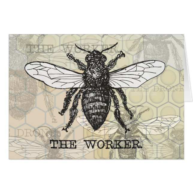 Illustration de l'abeille du travailleur vintage (Devant horizontal)