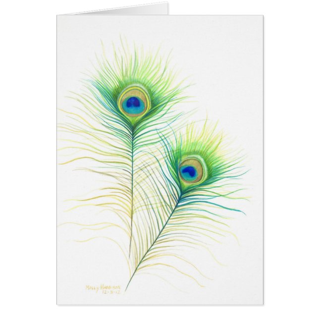 Illustration de l'aquarelle Peacock Feathers (Devant)