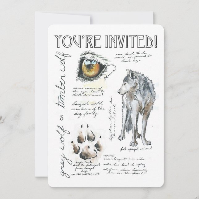 Illustration de loup Canis Lupus sur invitation (Devant)