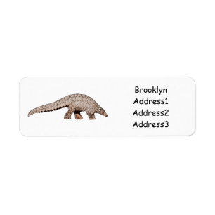 Illustration de Pangolin