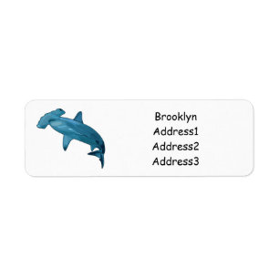 Illustration de requin marteau