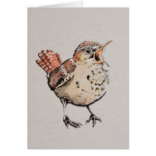 Illustration de roitelet de chant