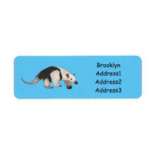Illustration de Tamandua