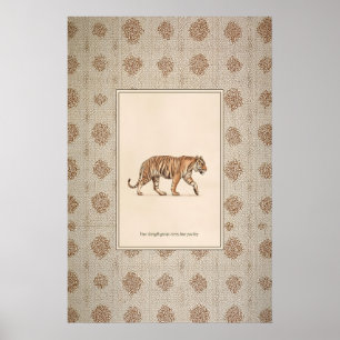 Illustration de tigre animal Affiche de tigre marc