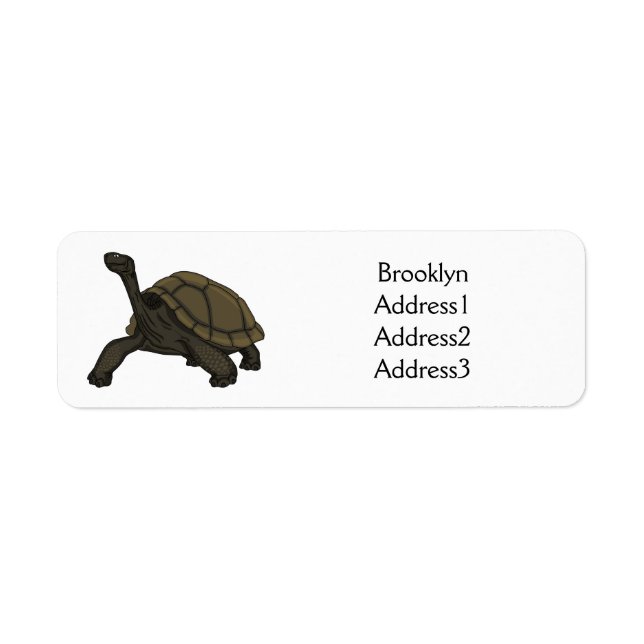 Illustration de tortue terrestre des Galapagos (Devant)